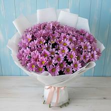 Букет цветов из:  Хризантемы в Сенном